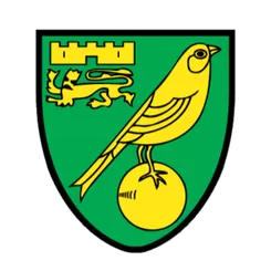 诺维奇 图标